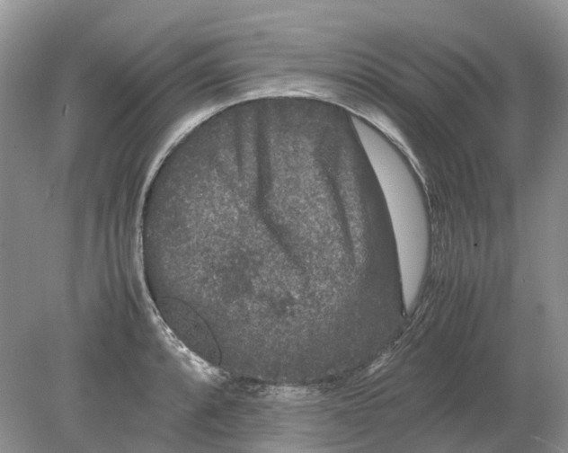 X0000078861088200612041926