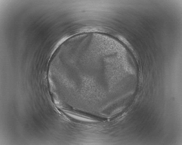 X0000078861089200612041926