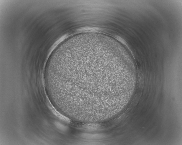 X0000078861090200612041926