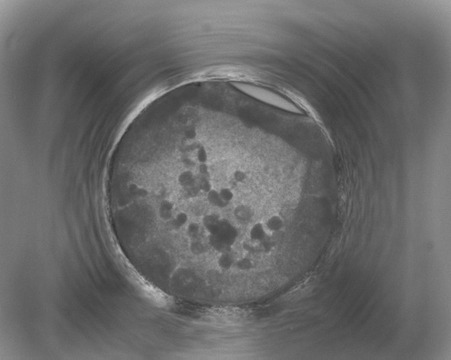 X0000078861091200612041926