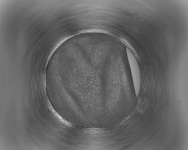 X0000078861092200612041926