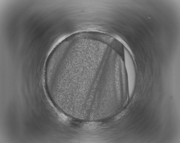 X0000078861093200612041926