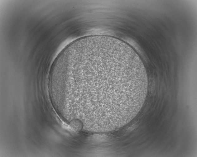 X0000078861094200612041926