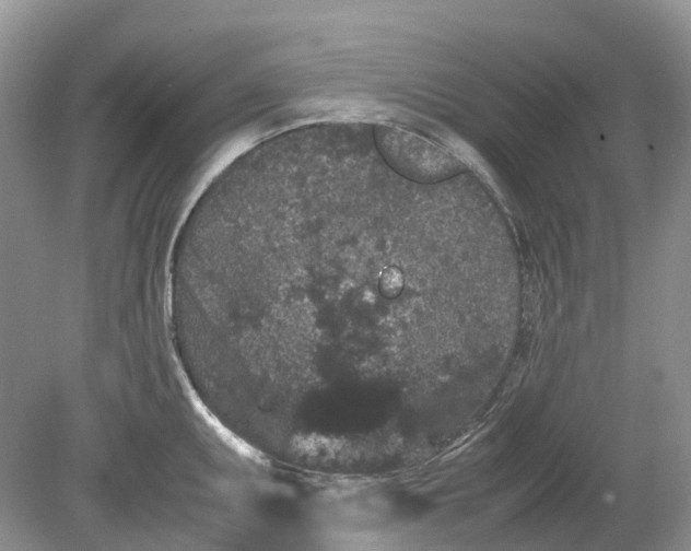 X0000078861095200612041926