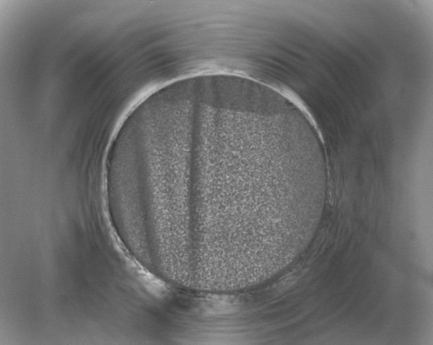 X0000078861096200612041926