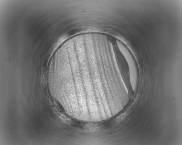 X0000078861097200612041926