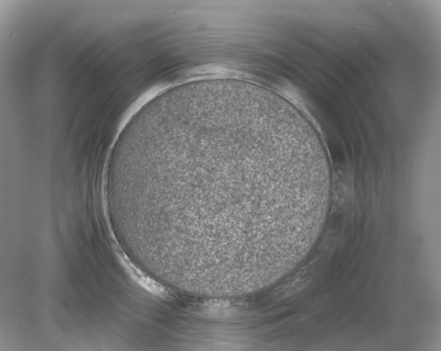 X0000078861098200612041926