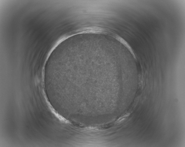 X0000078861099200612041926