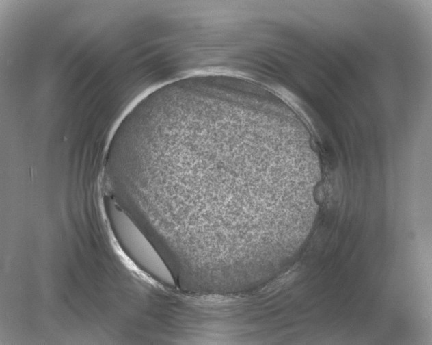 X0000078861100200612041925