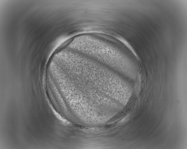 X0000078861101200612041925