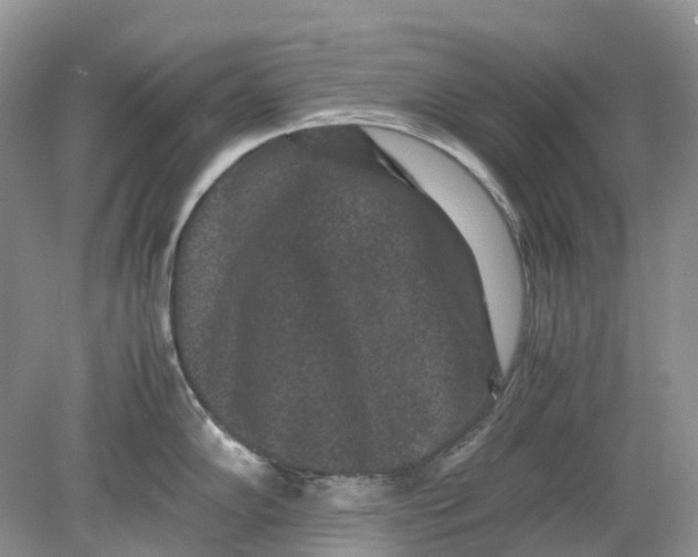 X0000078861102200612041925