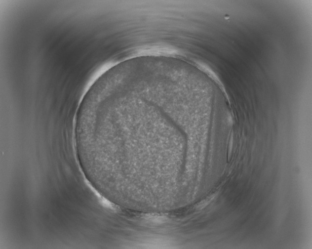 X0000078861103200612041925