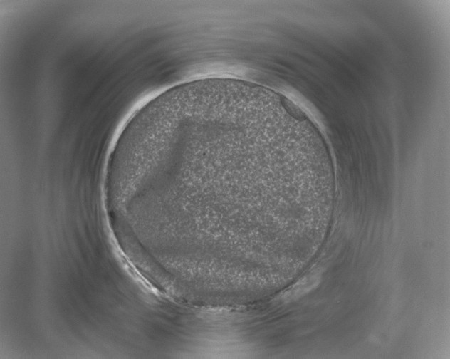 X0000078861104200612041925