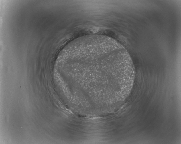 X0000078861105200612041925