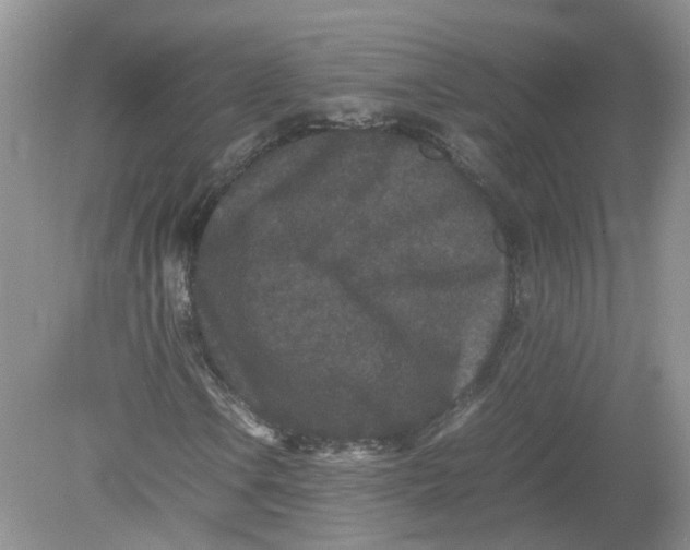 X0000078861106200612041925