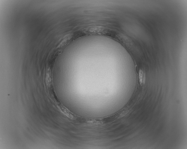 X0000078861107200612041925