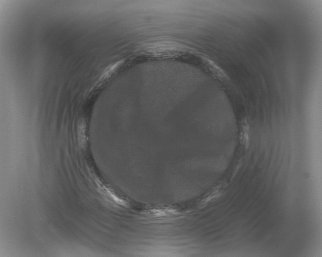 X0000078861108200612041925