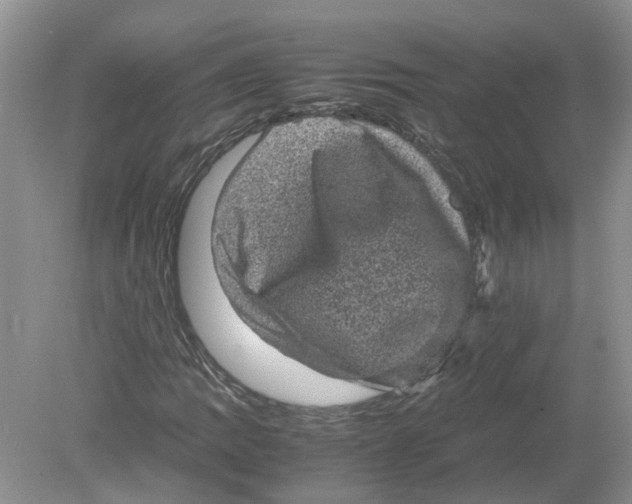 X0000078861109200612041925