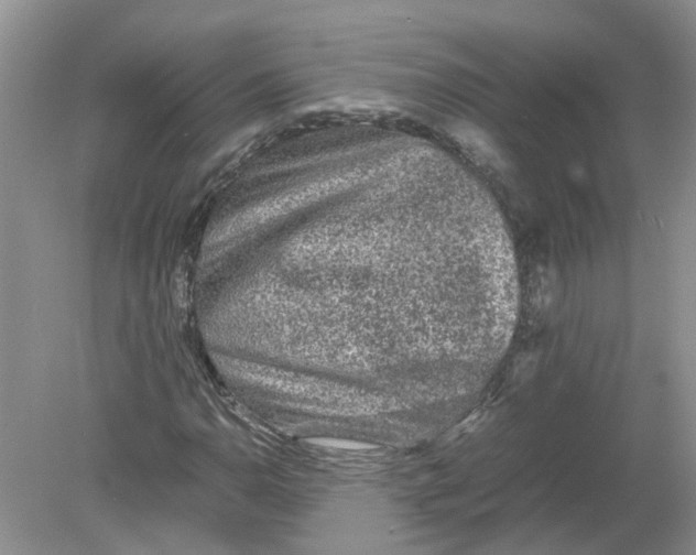 X0000078861110200612041925