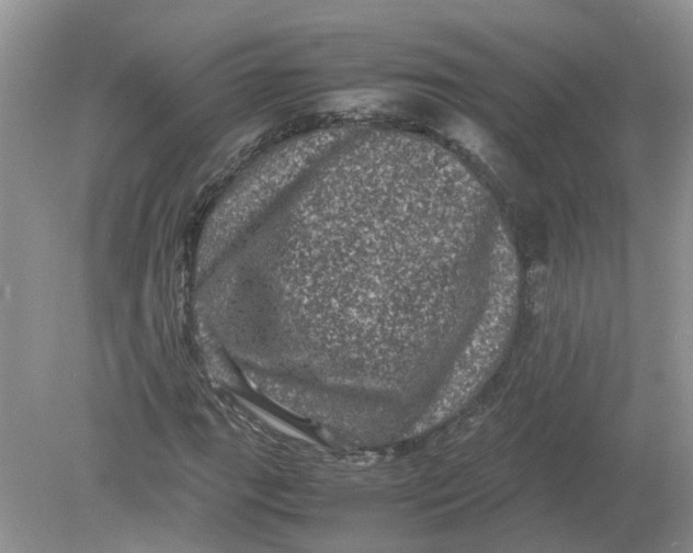 X0000078861111200612041925