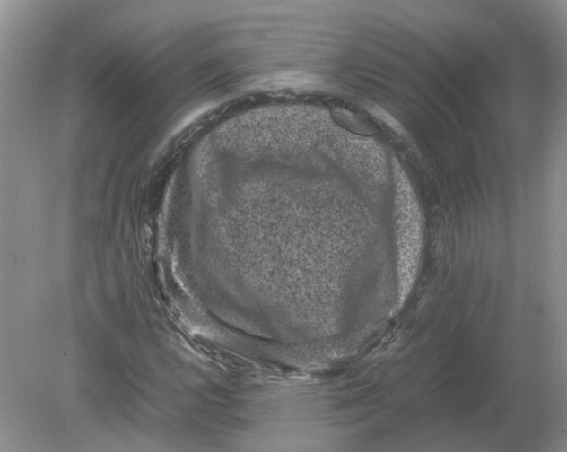 X0000078861112200612041925