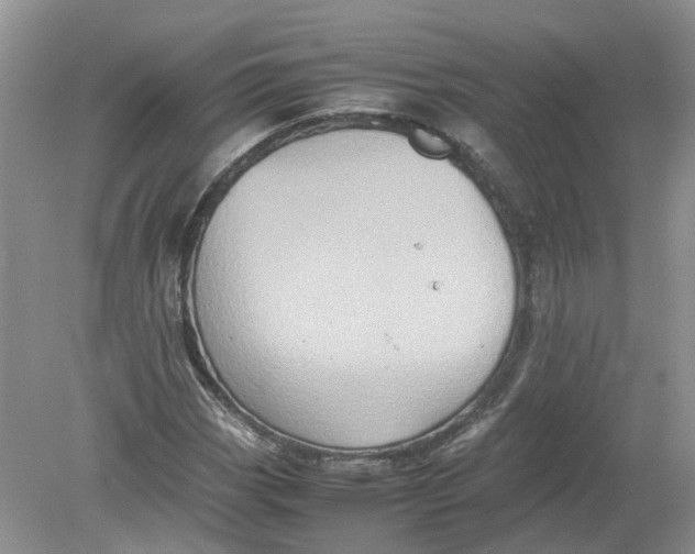 X0000078861113200612041925