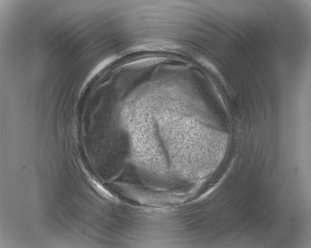 X0000078861114200612041925