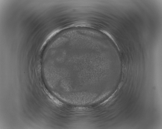 X0000078861115200612041925