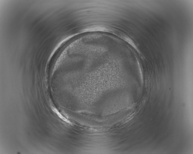 X0000078861116200612041925