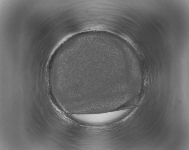 X0000078861118200612041925