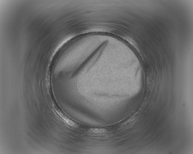 X0000078861119200612041925