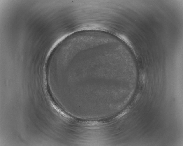 X0000078861120200612041925