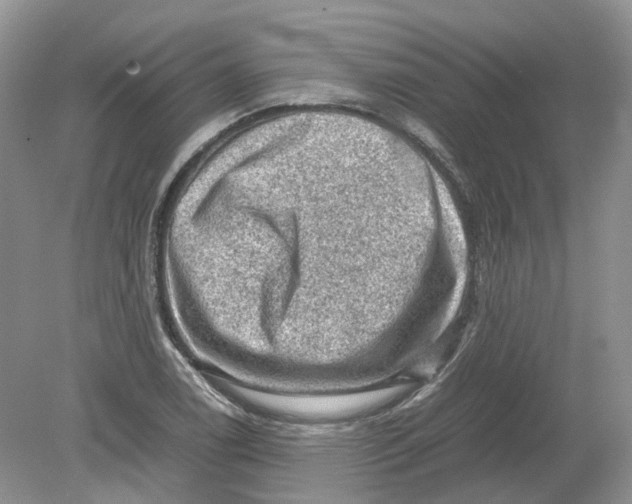 X0000078861122200612041925