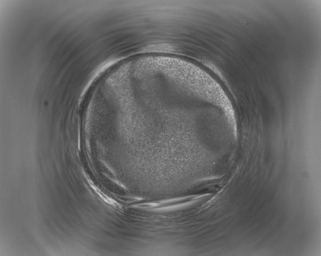 X0000078861123200612041925