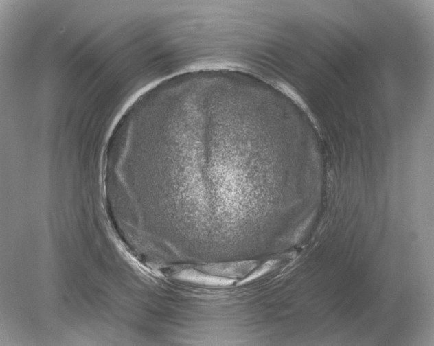 X0000078861124200612041925