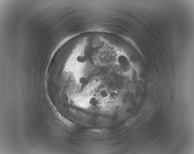 X0000078861125200612041925