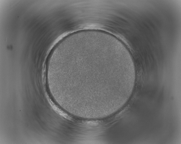 X0000078861126200612041925