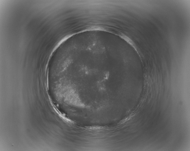 X0000078861127200612041925