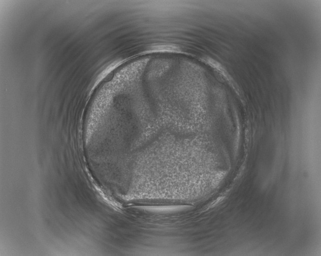 X0000078861129200612041925