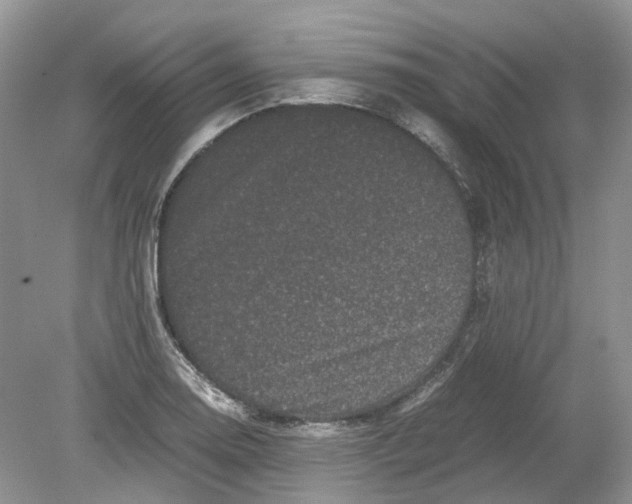 X0000078861130200612041925