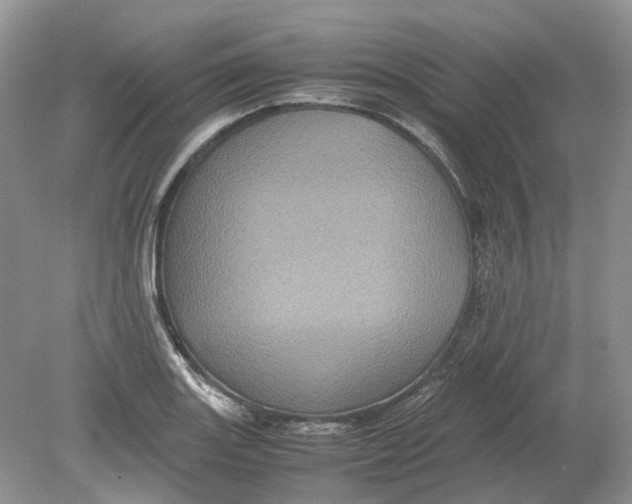 X0000078861131200612041925