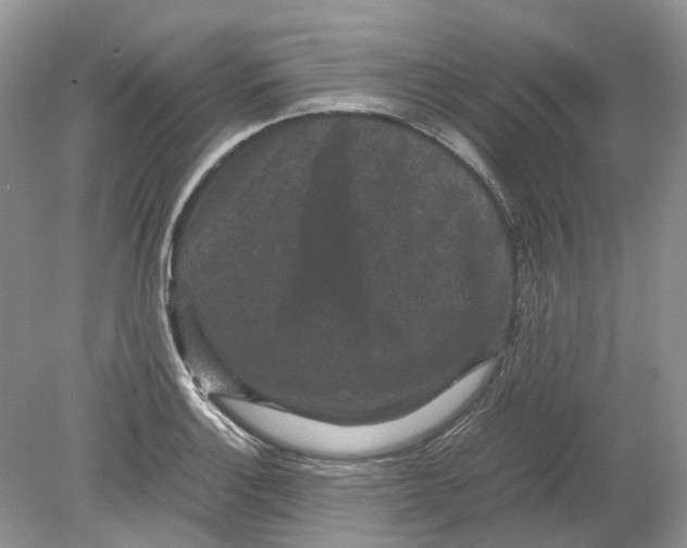 X0000078861132200612041925