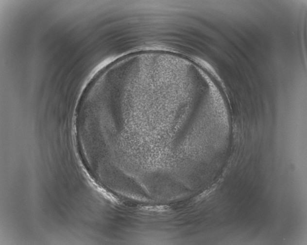 X0000078861133200612041925