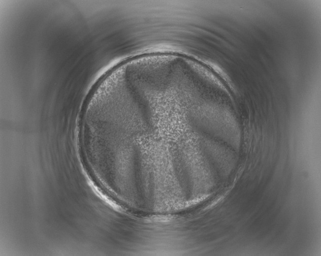 X0000078861134200612041925