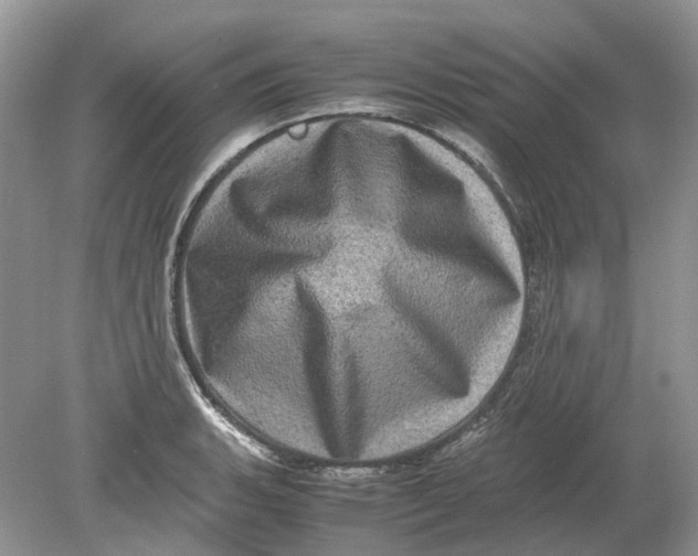 X0000078861135200612041925