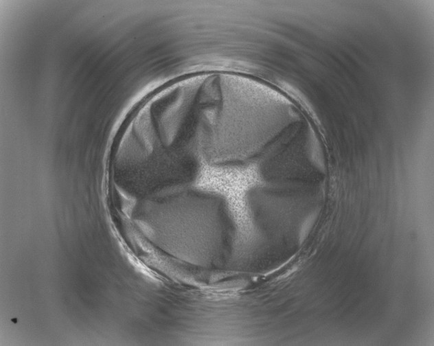 X0000078861136200612041925