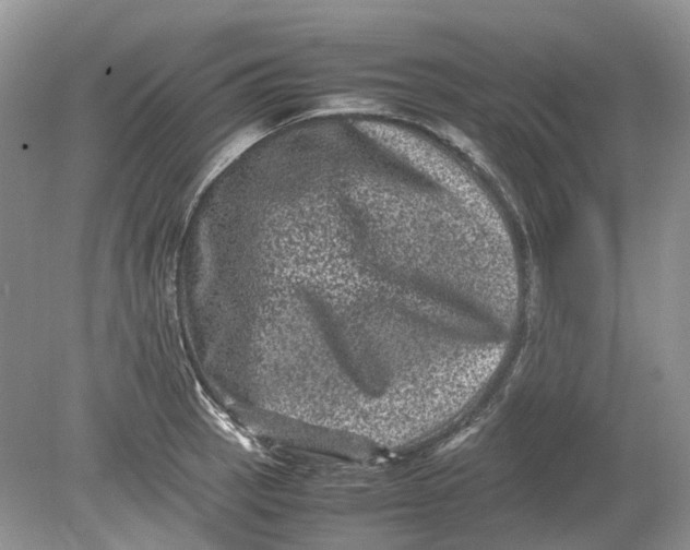 X0000078861137200612041925