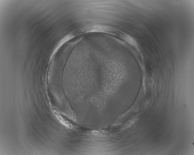 X0000078861138200612041925