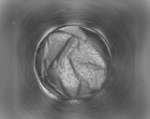 X0000078861139200612041925