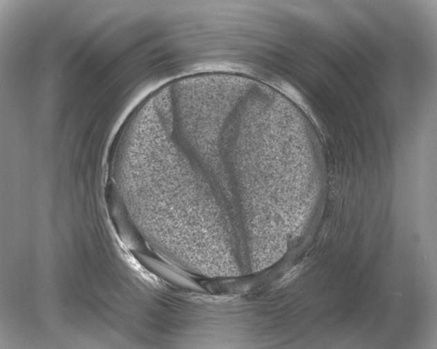 X0000078861140200612041925